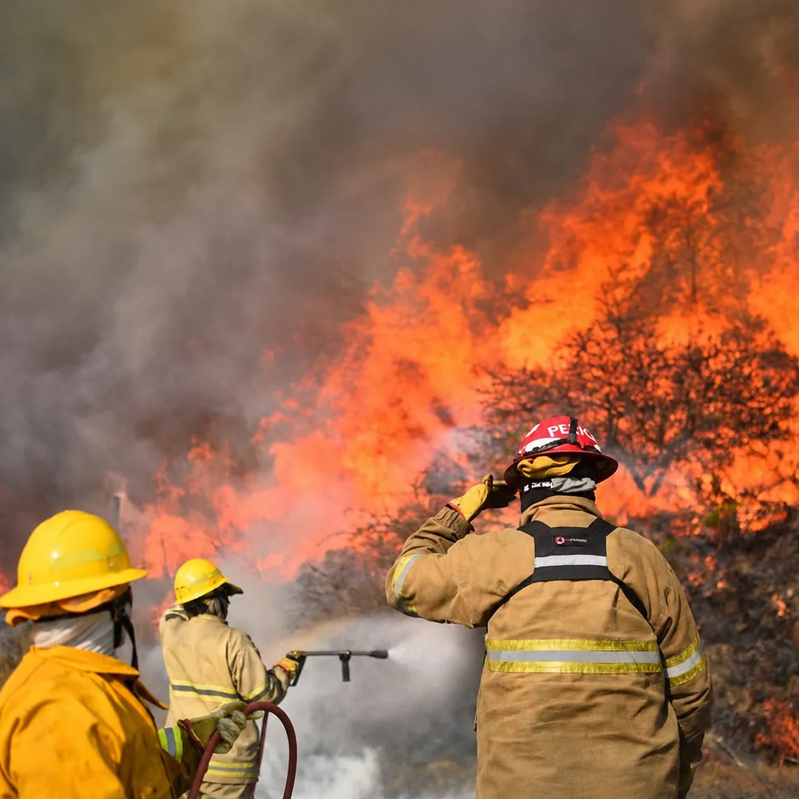 Día del Bombero Voluntario